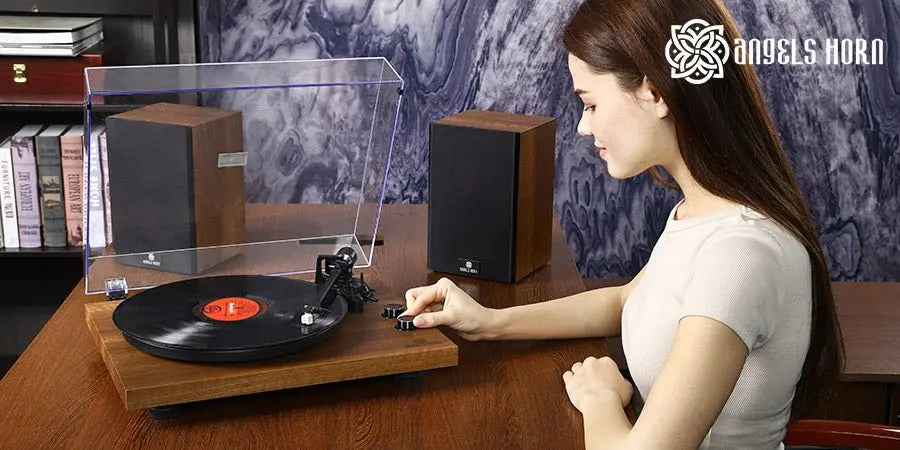 2022 Vinyl Record FAQs Summary | AngelsHorn® - AngelsHorn