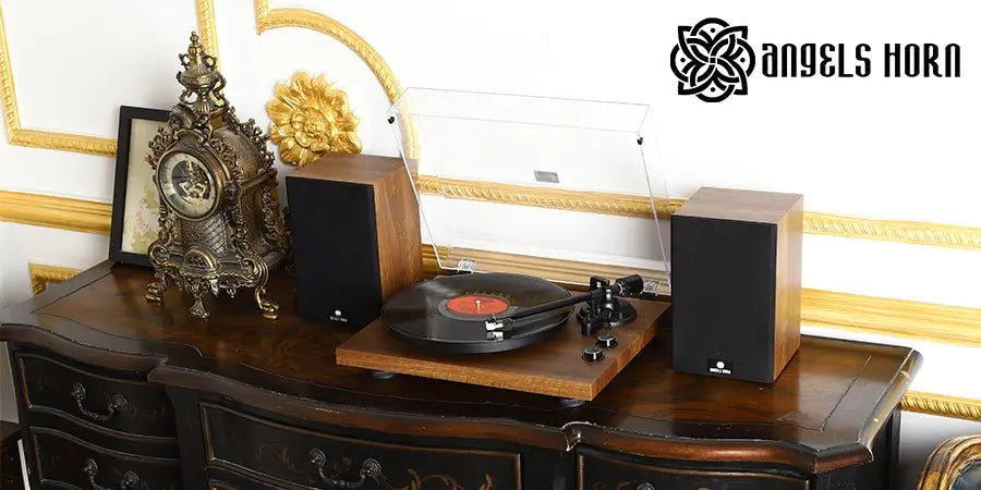 9 Step Turntable Belts: Brief Instructions and Replacement - AngelsHorn