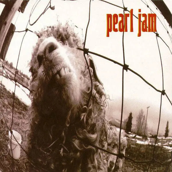 Pearl Jam's LP albums are a must-have for any collection AngelsHorn