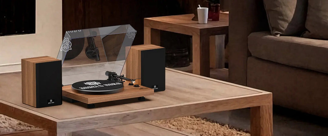 How Does a Vinyl Record Work: A Simple Step-by-Step Guide - AngelsHorn