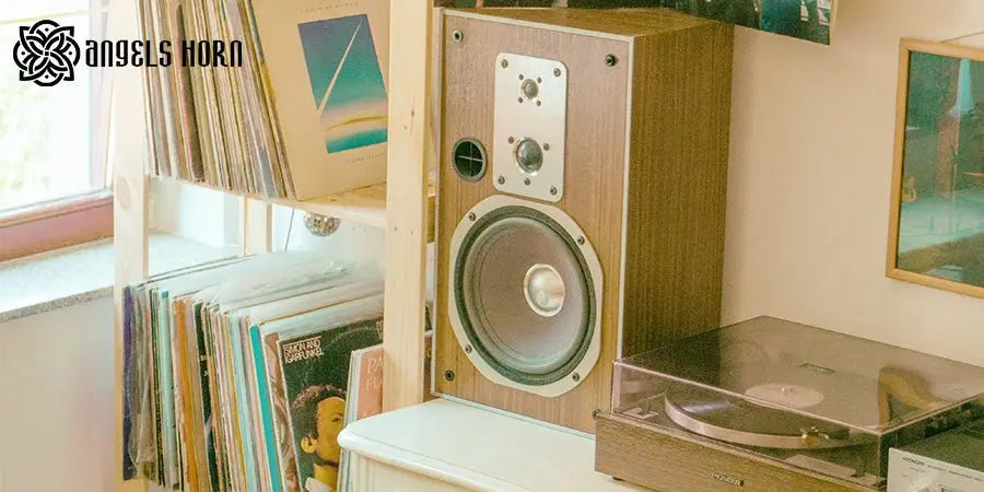 New Describing the Characteristics of Turntable Sound - AngelsHorn