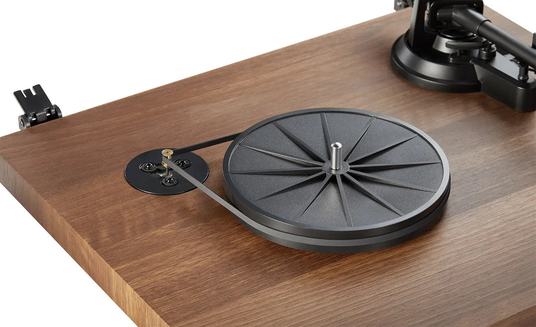 AngelsHornDurable ANGELS HORN Drive Belt - Essential Turntable Accessories