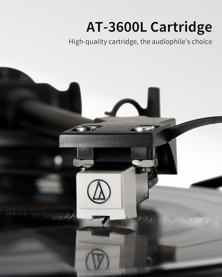 AngelsHornAngels Horn AH6 Turntable HiFi System - Premium Record Player with 