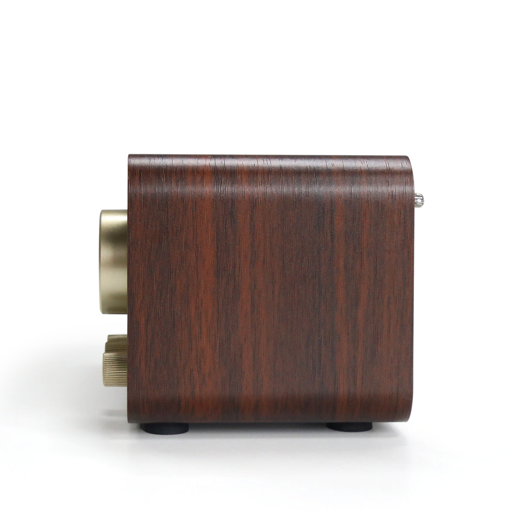 Angels Horn FR01 Vintage Bluetooth Speaker & FM Radio | Retro Wooden Home Audio, Powerful Bass, TF Card/AUX Input, Portable Wireless Speaker for Home, Office, Decor (Walnut Wood)