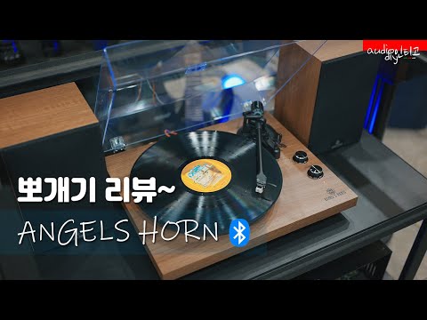 Angels Horn H00501 Hi-Fi Bluetooth Turntable with Stereo Bookshelf Speakers