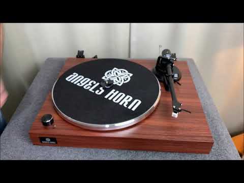 Angels Horn H003-OR Tourne-disque vinyle Bluetooth (rouge marron)