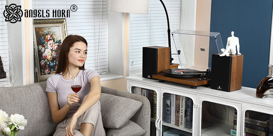 2022 AngelsHorn® Awesome Gifts for Vinyl Lovers